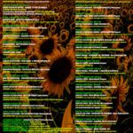 Festival green music 2019