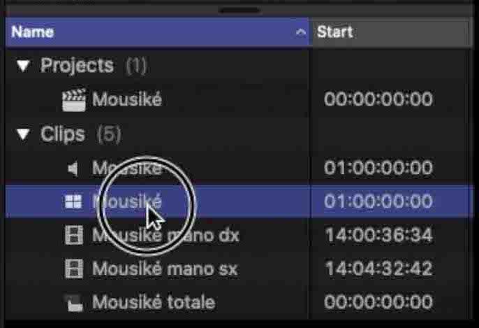 multicam clip nel browser di Final Cut Pro x