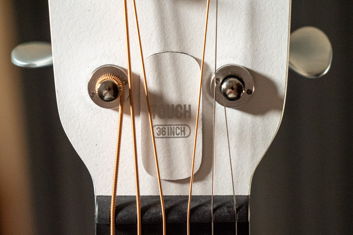 truss rod chitarra